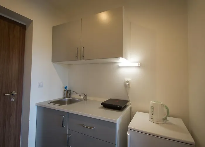 شقة Horni Brana *