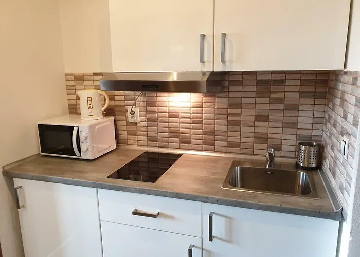 Horni Brana 아파트